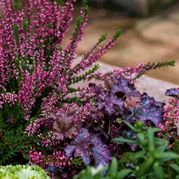 ландшафтный проект Баковка